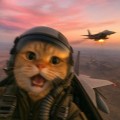 JETCAT