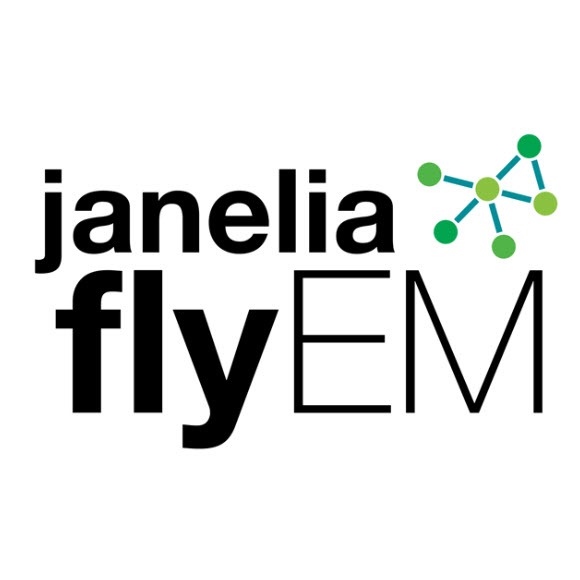 flyEM
