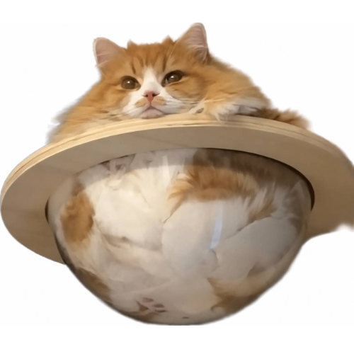 CATURN