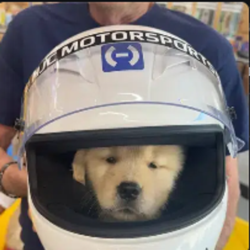 HALO