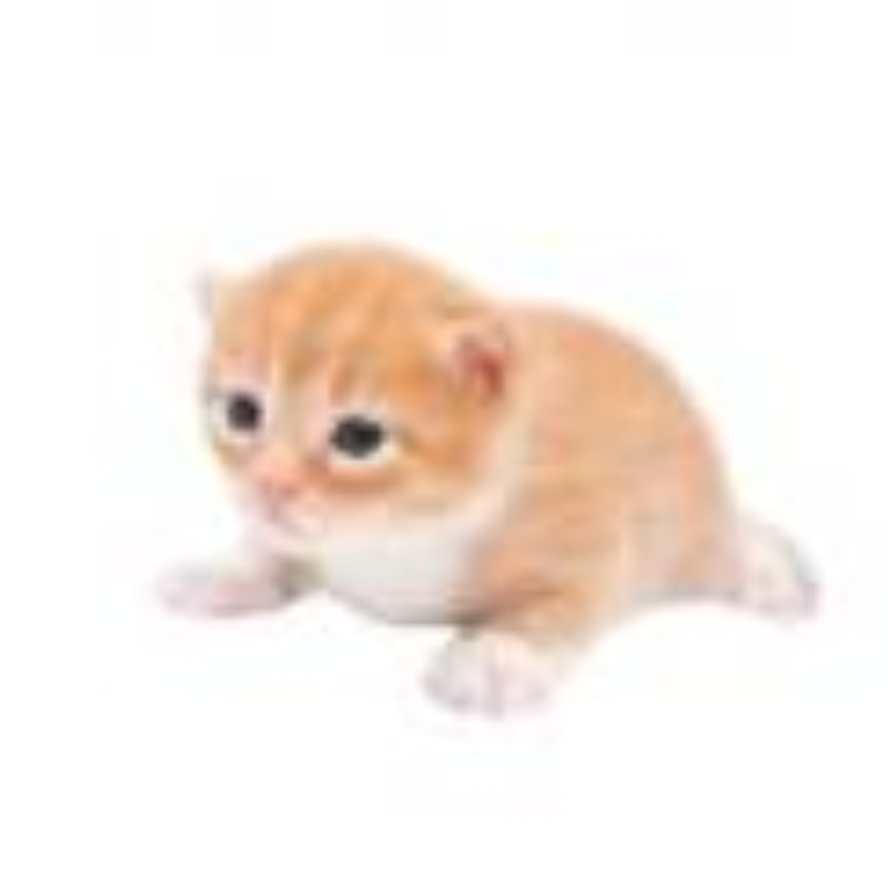 Gary