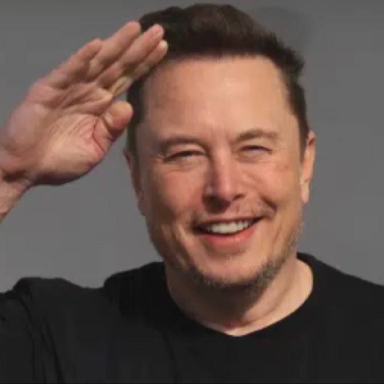 Nice Musk logo