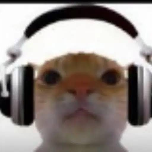 耳机的猫