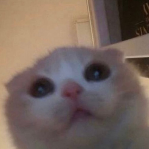 hello