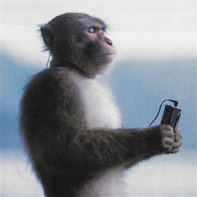 Monkey With Headphones logo
