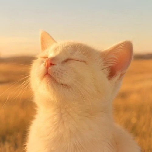 RELAX