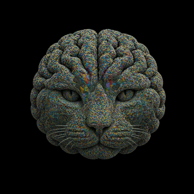 CATBRAIN