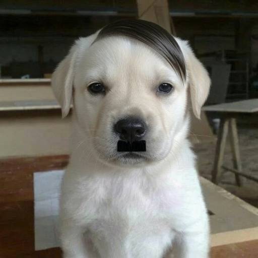 Hitler
