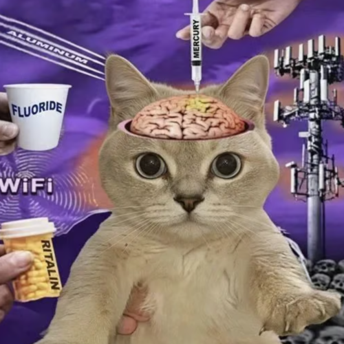 Psyopcat logo