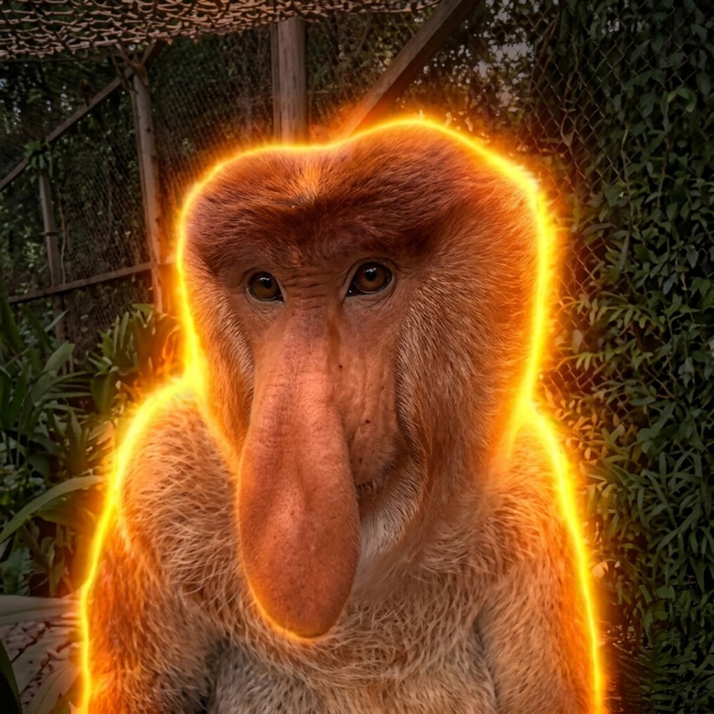 Proboscis Monkey logo