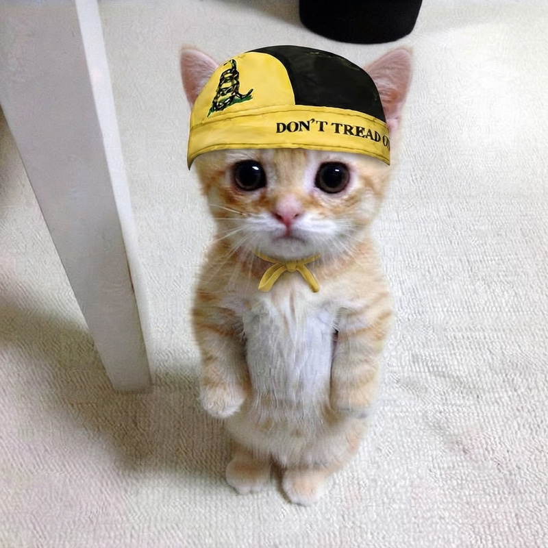 capcat 