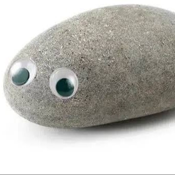 Rock