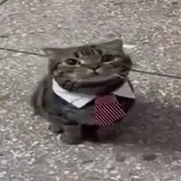 KIT