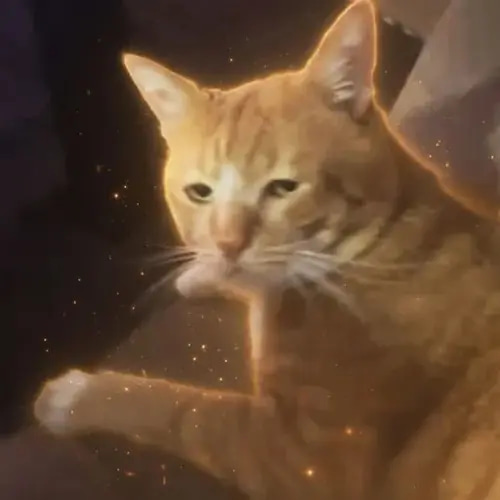 The Disgusted Cat logo