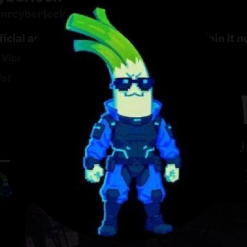 LEEK
