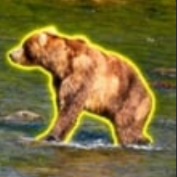 Backpack Bear 89 logo