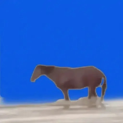 Juan