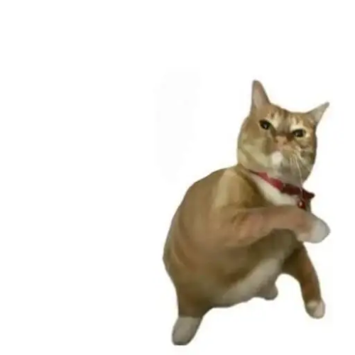 Yeetcat logo