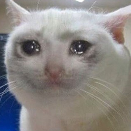 Cryingcat