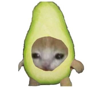 Avocado Cat logo