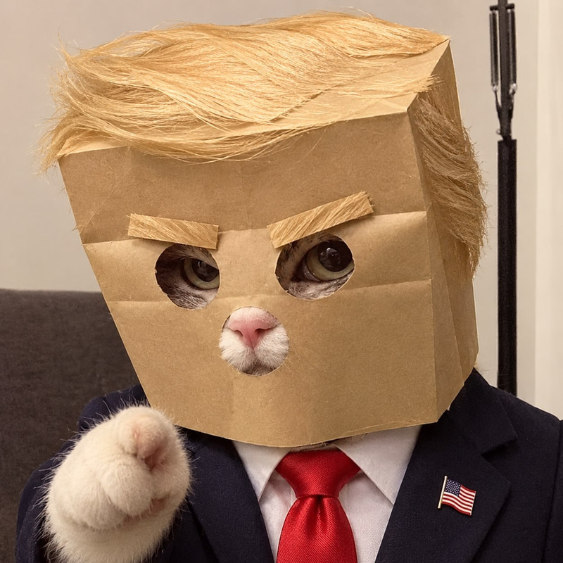 Anonymous Trump logo