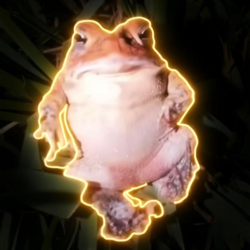 TOAD