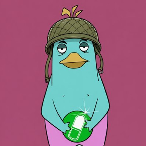 Platy