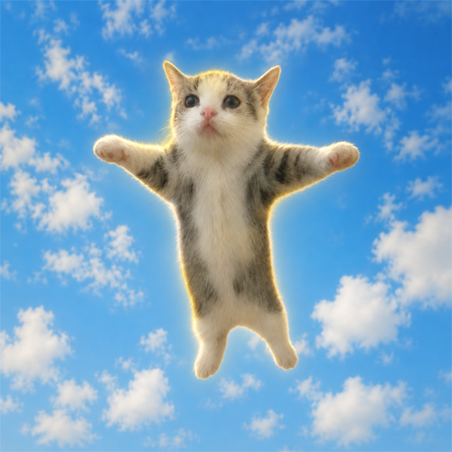 HAPPYCAT