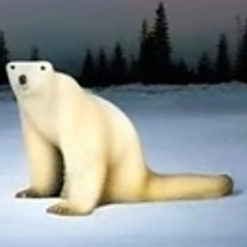 bear
