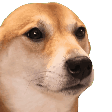 dogebop logo