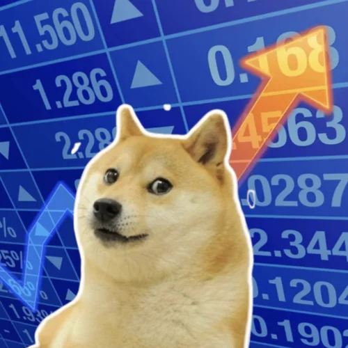 StonkDoge