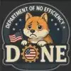 DepartmentOfNoEfficiency logo