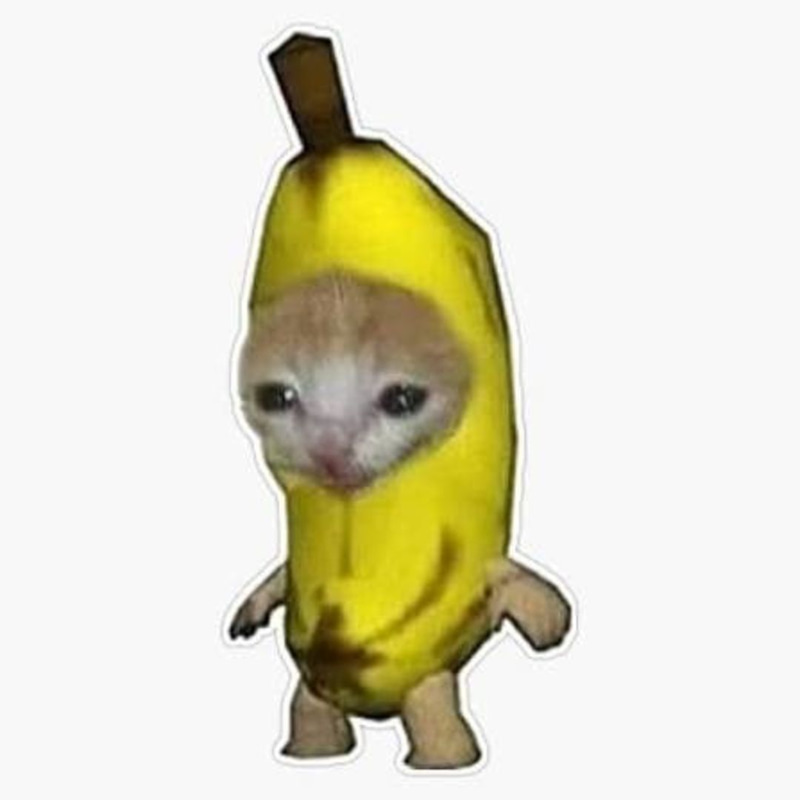 bananacat