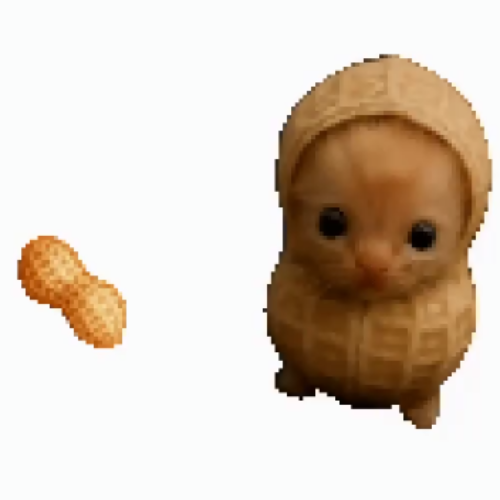 Nutcat logo