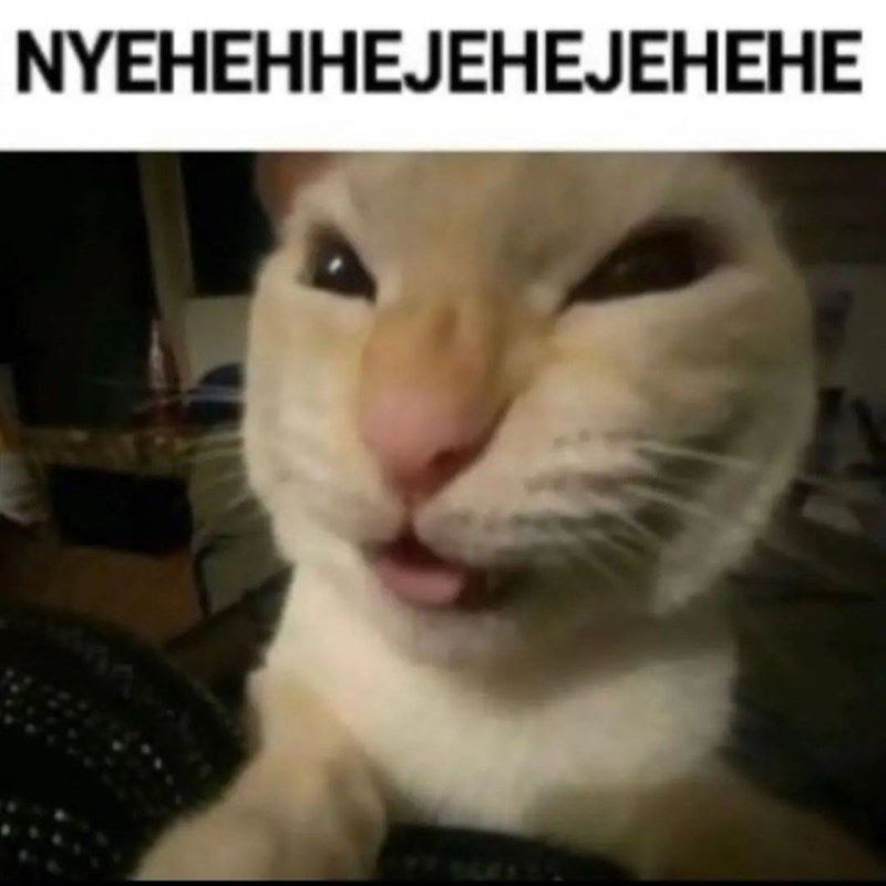 NYEHEHE