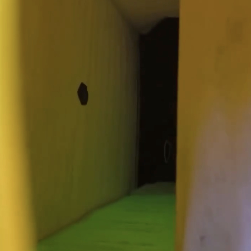 Backrooms
