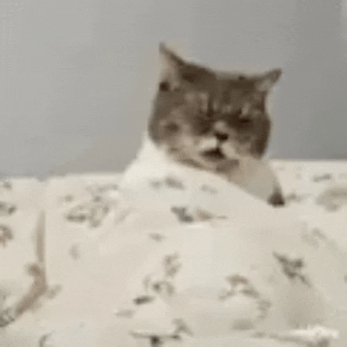 Jerking Cat logo