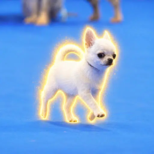 The Superstar Chihuahua logo