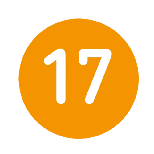 17coin logo