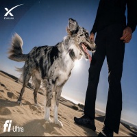 Space Tracking Dog logo