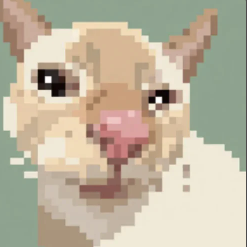 Cutecat logo