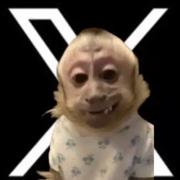 XMONKEY