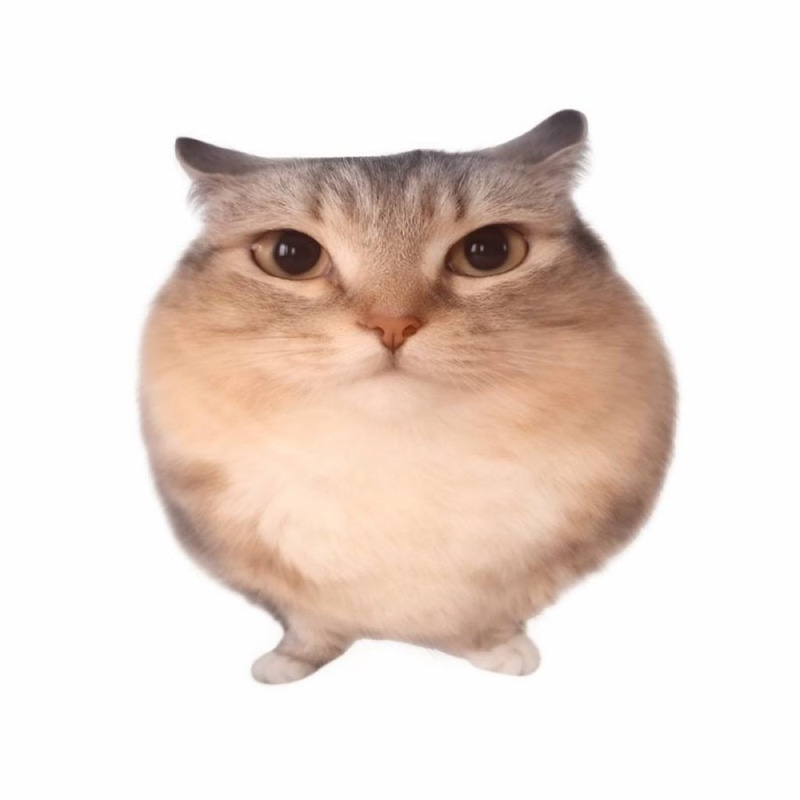bababoi