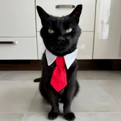 PEPITO