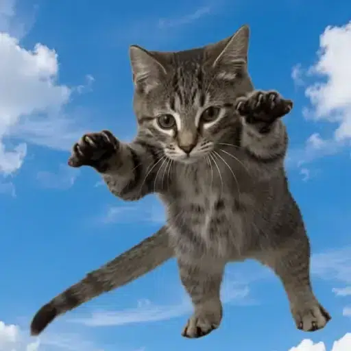 Flying Cat logo
