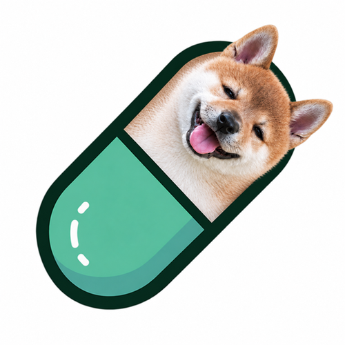 pillInu