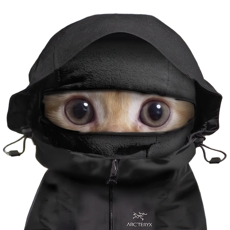 HOODCAT