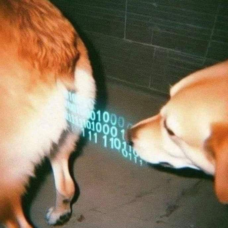 CODED