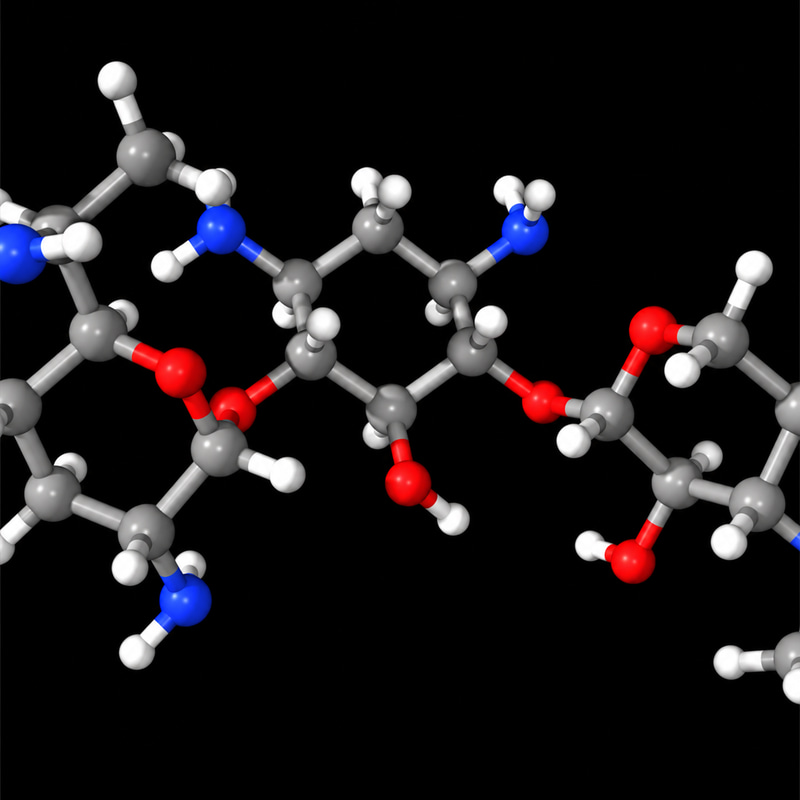 Gentamicin logo