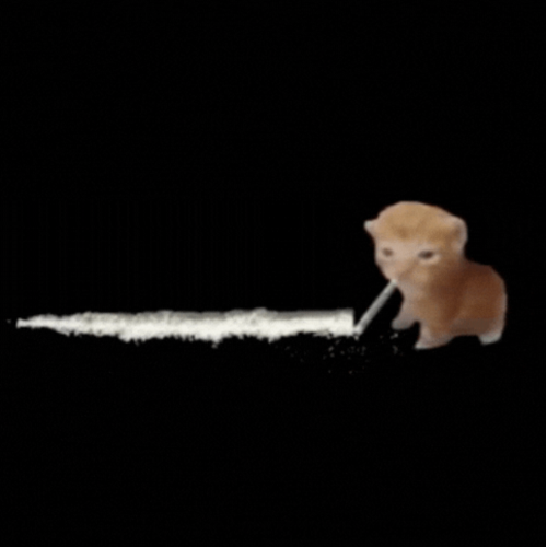 Coca